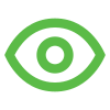 Icon of an eye